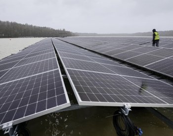 Dobré zprávy roku 2023: Obnovitelná energie, fotky vesmíru i socha býka