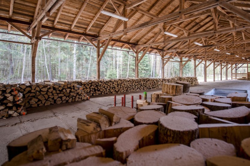 Palivové dřevo za půlrok zlevnilo o 30 %, kvůli DPH ale hrozí odliv do ciziny