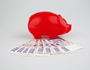 Průzkum: Třetina Čechů zvažuje, že bude odkládat peníze na důchod do DIP