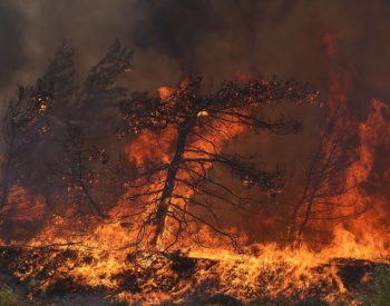 Při zásazích proti lesním požárům v Kanadě letos zemřeli čtyři lidé