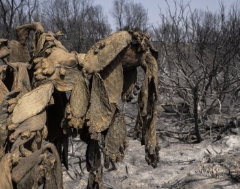 Řecké úřady zrušily stav nouze na ostrově Rhodos, hoří ale u Olympie
