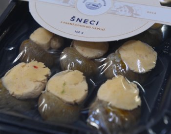 Šnečí farma na Přerovsku ročně vyrábí tuny šnečích pochoutek