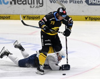 Hokejisté Plzně podlehli Litvínovu 3:5 a prohráli počtvrté za sebou