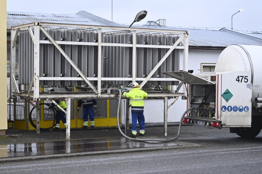 V Kosoříně skončilo po třech dnech utrácení drůbeže kvůli ptačí chřipce