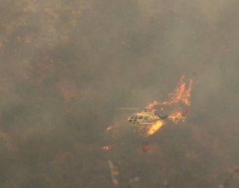 Lesní požáry v Chile už si vyžádaly 64 mrtvých, bilance zřejmě dál poroste