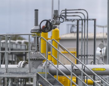 Podíl ruského plynu dováženého do ČR podle ekonoma v lednu činil 62 %