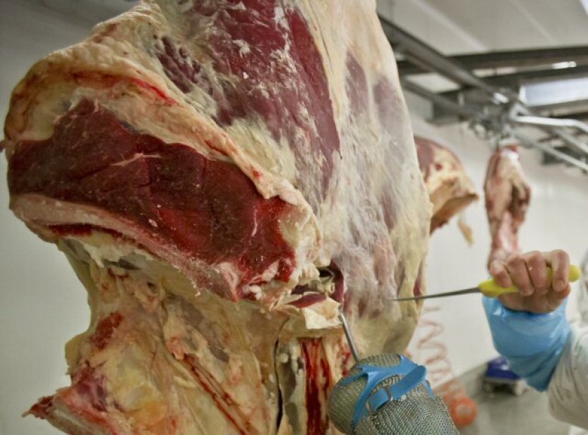 Výroba masa v ČR loni klesla na nejnižší úroveň nejméně od roku 2000