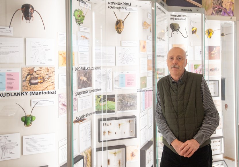 Kolínské muzeum otevřelo novou expozici Svět hmyzu, v budoucnu se rozšíří