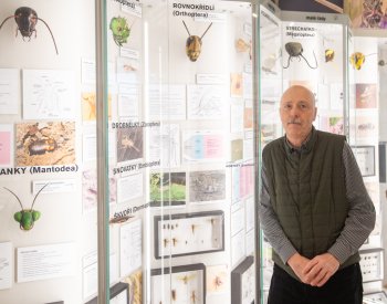 Kolínské muzeum otevřelo novou expozici Svět hmyzu, v budoucnu se rozšíří