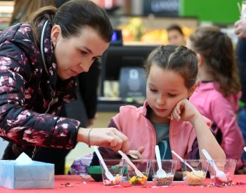 Festival v Plzni: Češi jedí více čokolády, ale požadují stále kvalitnější druhy