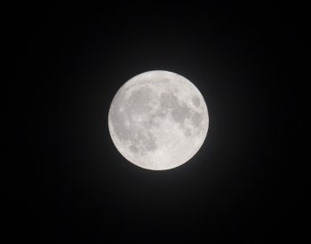 Historická mise IM-1 dnes k Měsíci nevyrazí, SpaceX odložila start