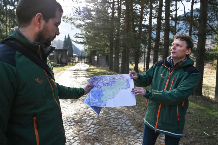 V Beskydech žije okolo deseti dospělých rysů plus mláďata a stejný počet vlků