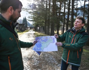 V Beskydech žije okolo deseti dospělých rysů plus mláďata a stejný počet vlků