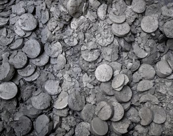 Průzkum: Konkrétní kroky ke snížení uhlíkové stopy podniklo 53 procent firem