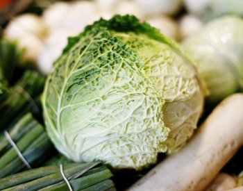 Spotřeba zeleniny předloni klesla na 87,4 kg na osobu, pomohla by nižší DPH