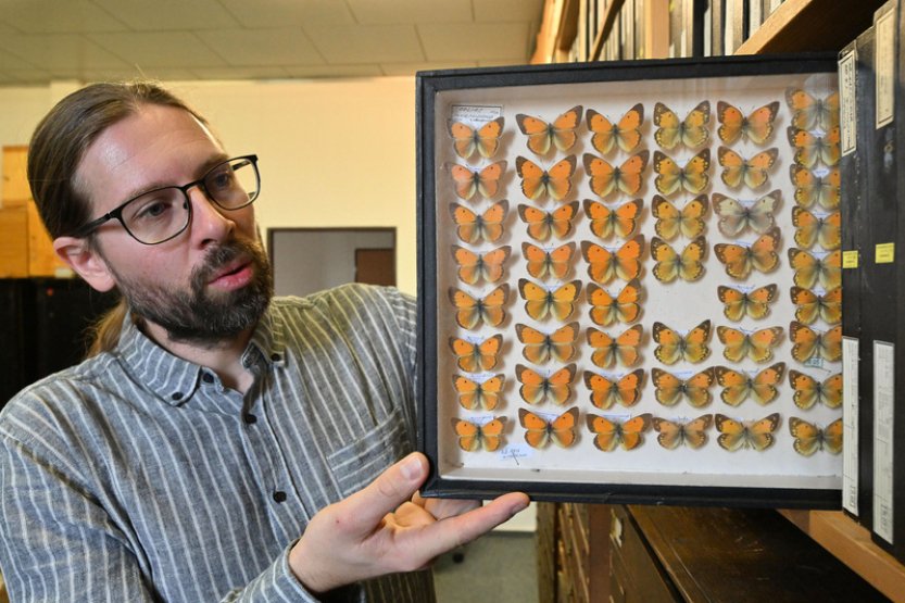 Depozitář uchovává přes 2,5 milionu exemplářů hmyzu, část sbíral Sekora