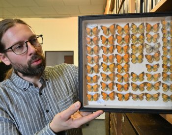 Depozitář uchovává přes 2,5 milionu exemplářů hmyzu, část sbíral Sekora