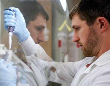 Vědci našli bakterie, které mohou zastavit přenos malárie na lidi