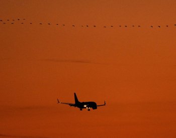 Velikonoce lákají Čechy do zahraničí, zájem o letenky meziročně stoupl
