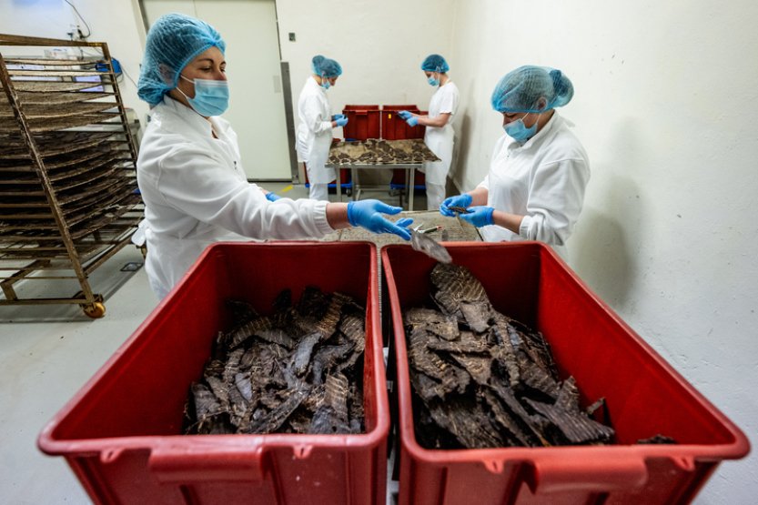 Výrobce sušeného masa Fine Gusto z H. Králové plánuje růst, dodává i armádám