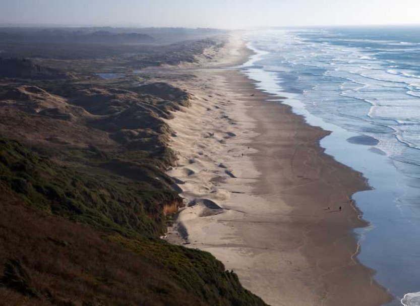 BBC: Plány na zkrocení oregonských dun inspirovaly sci-fi ságu Franka Herberta