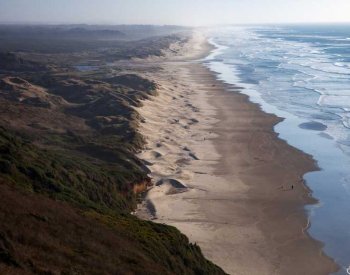 BBC: Plány na zkrocení oregonských dun inspirovaly sci-fi ságu Franka Herberta