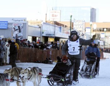 Šampion závodu psích spřežení Iditarod v úvodu tohoto ročníku zastřelil losa
