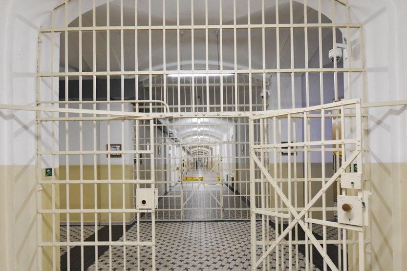 Za trýznivou vraždu matky uložil soud ženě sedmnáctiletý trest