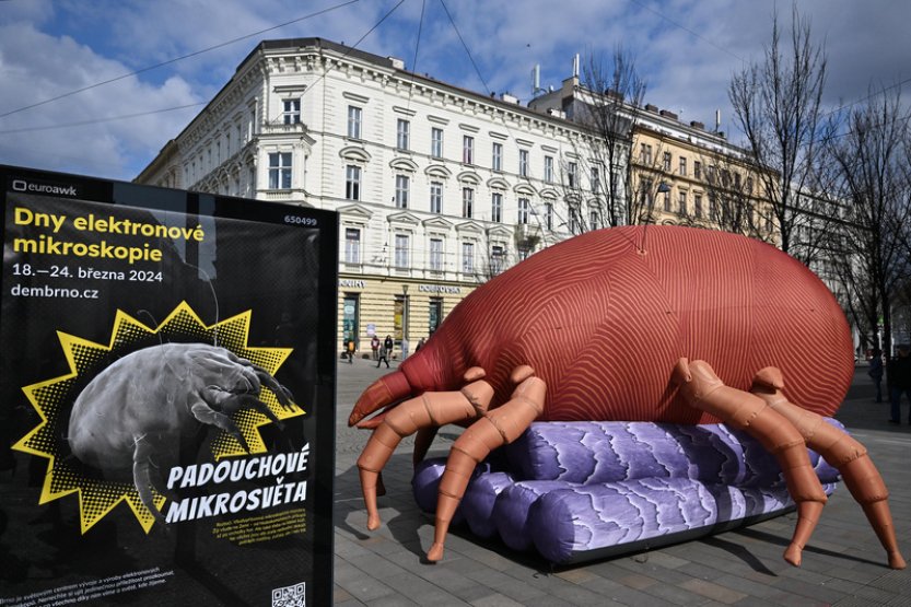 Obří roztoč v brněnských ulicích upozornil na Dny elektronové mikroskopie