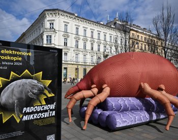 Obří roztoč v brněnských ulicích upozornil na Dny elektronové mikroskopie