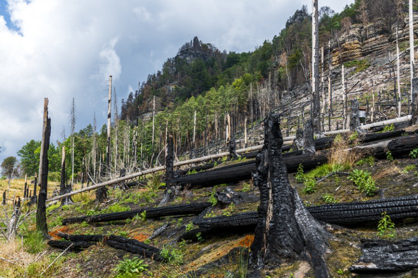 Gabrielina stezka a Edmundova soutěska zůstanou po ničivém požáru ještě zavřené