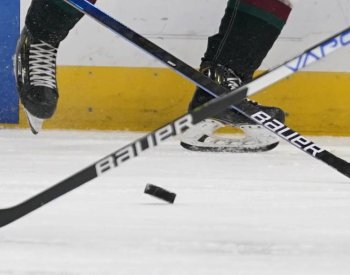 Hokejisté Litoměřic zdolali Třebíč 4:1 a jsou poprvé v semifinále první ligy