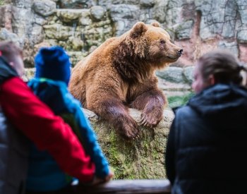 V brněnské zoo návštěvníci přivítali jaro, viděli komentovaná krmení