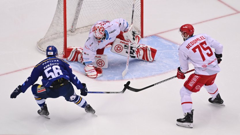 Třinečtí hokejisté vynulovali Budějovice i podruhé, vyhráli 2:0