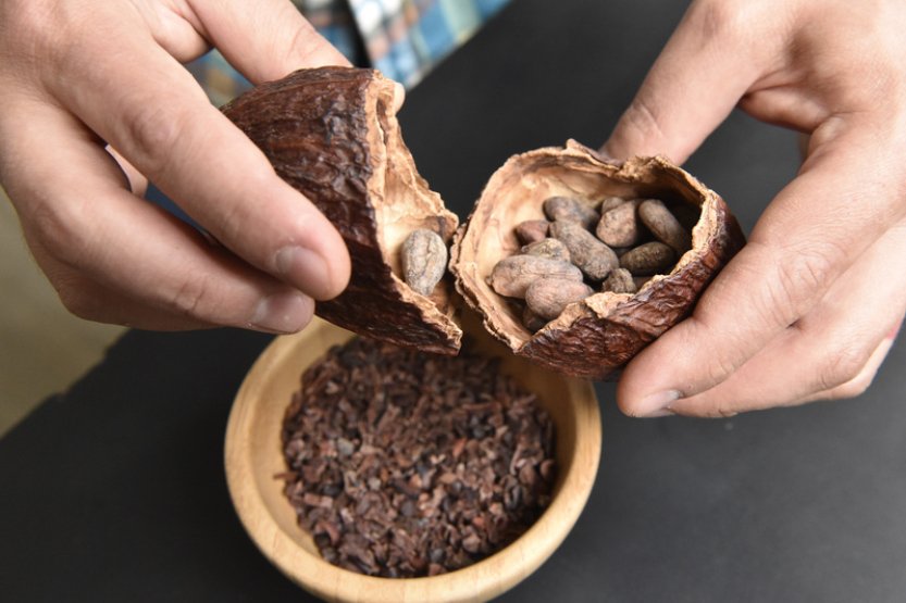 Cena kakaa už se letos zdvojnásobila, čokoláda podle analytiků zdraží