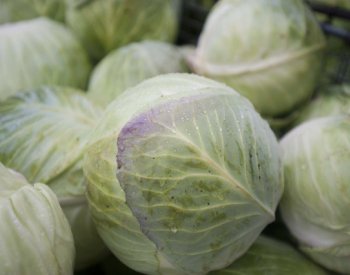 Z potravin za deset let zdražila hlavně zelenina, rekordmanem je hlávkové zelí