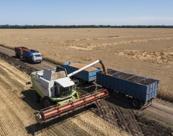 ČR, Polsko a pobaltské státy žádají omezení dovozu obilí z Ruska