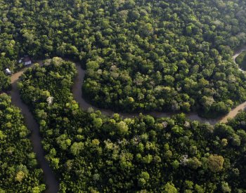 V Brazílii začíná summit desítky zemí o ochraně amazonského pralesa
