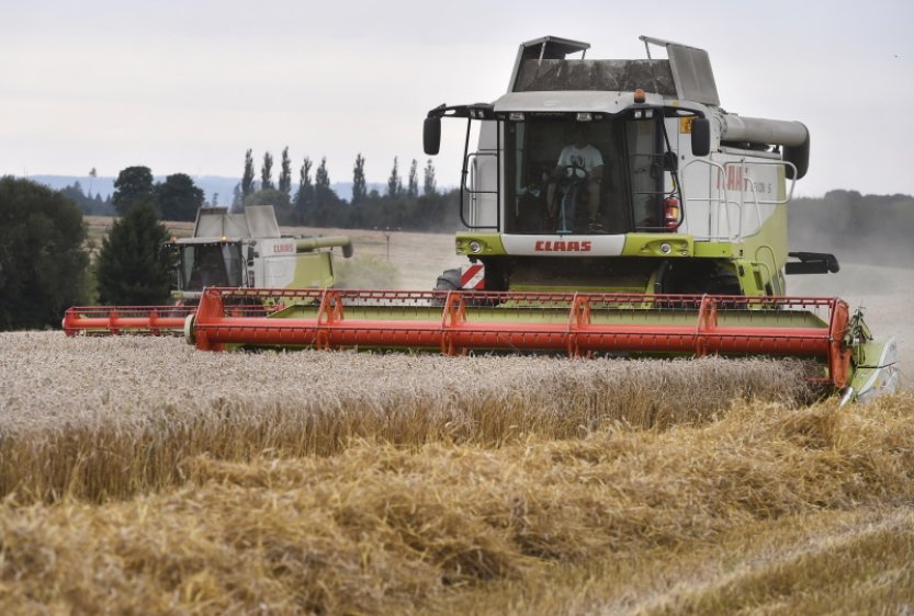 ČSÚ: Hodnota zemědělské produkce loni klesla o 7,8 pct na 176,9 mld. Kč