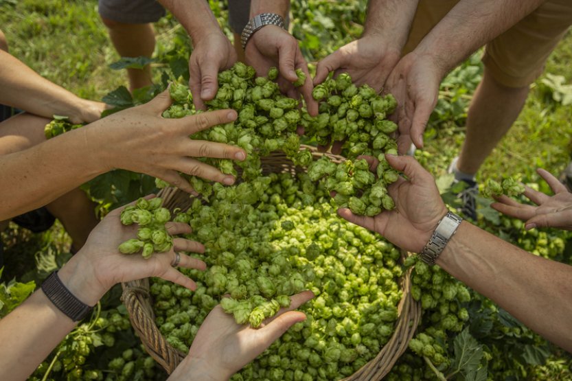Průzkum: Firmy se chtějí kvůli chystaným změnám zbavovat pracovníků na dohodu