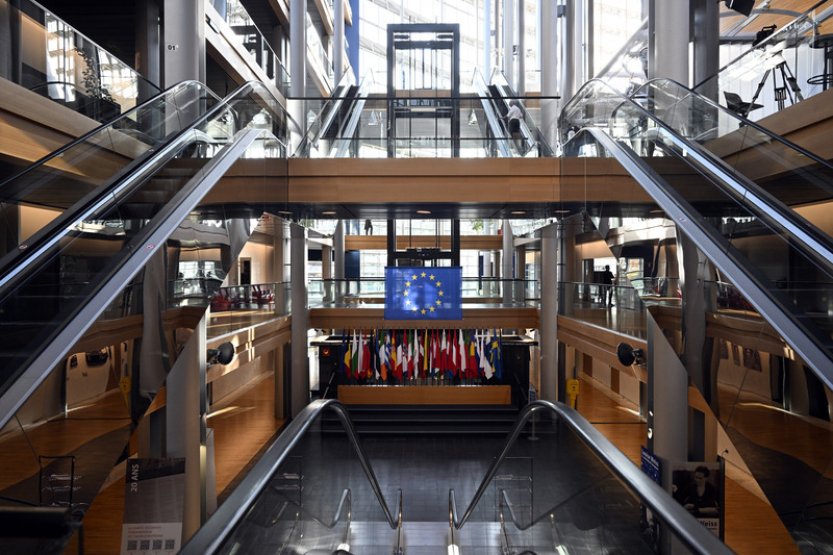 Těžké slovníky jsme si nosili s sebou, vzpomíná tlumočnice na vstup ČR do EU