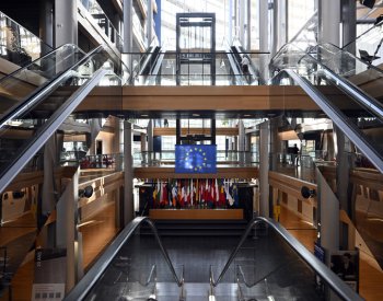 Těžké slovníky jsme si nosili s sebou, vzpomíná tlumočnice na vstup ČR do EU