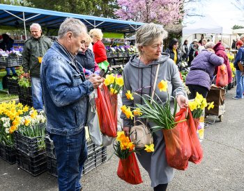 V Litoměřicích začal jarní veletrh pro pěstitele Tržnice Zahrady Čech