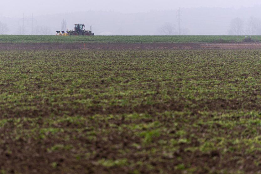 V zemědělské krajině se šíří velké množství pesticidů, zjistili brněnští vědci