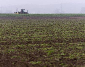 V zemědělské krajině se šíří velké množství pesticidů, zjistili brněnští vědci
