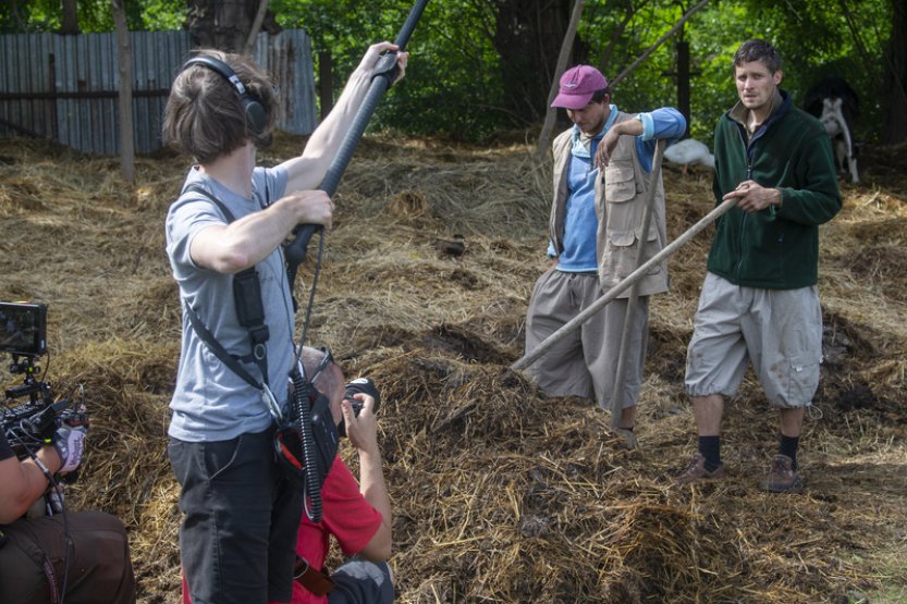 V Pardubicích vzniká film s pracovním názvem Ovce žerou první
