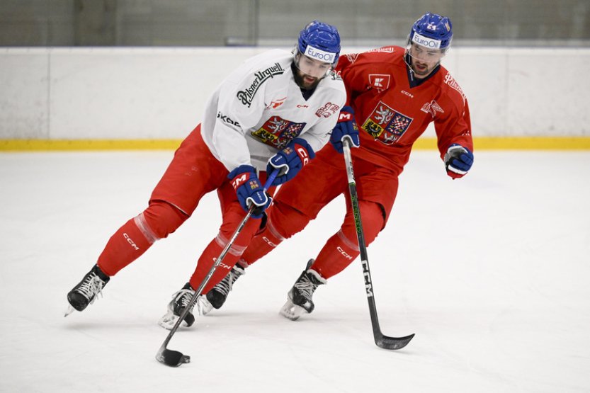 Hokejisty čeká první test před MS, v Karlových Varech vyzvou Německo