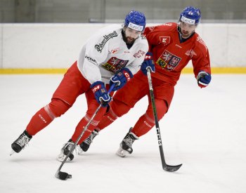 Hokejisty čeká první test před MS, v Karlových Varech vyzvou Německo