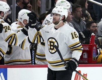 Zacha a Pastrňák si připsali v NHL dva body