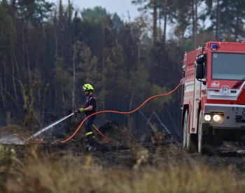 Lesy ČR kvůli riziku požárů zakázaly ve svých lesích pálit klestí